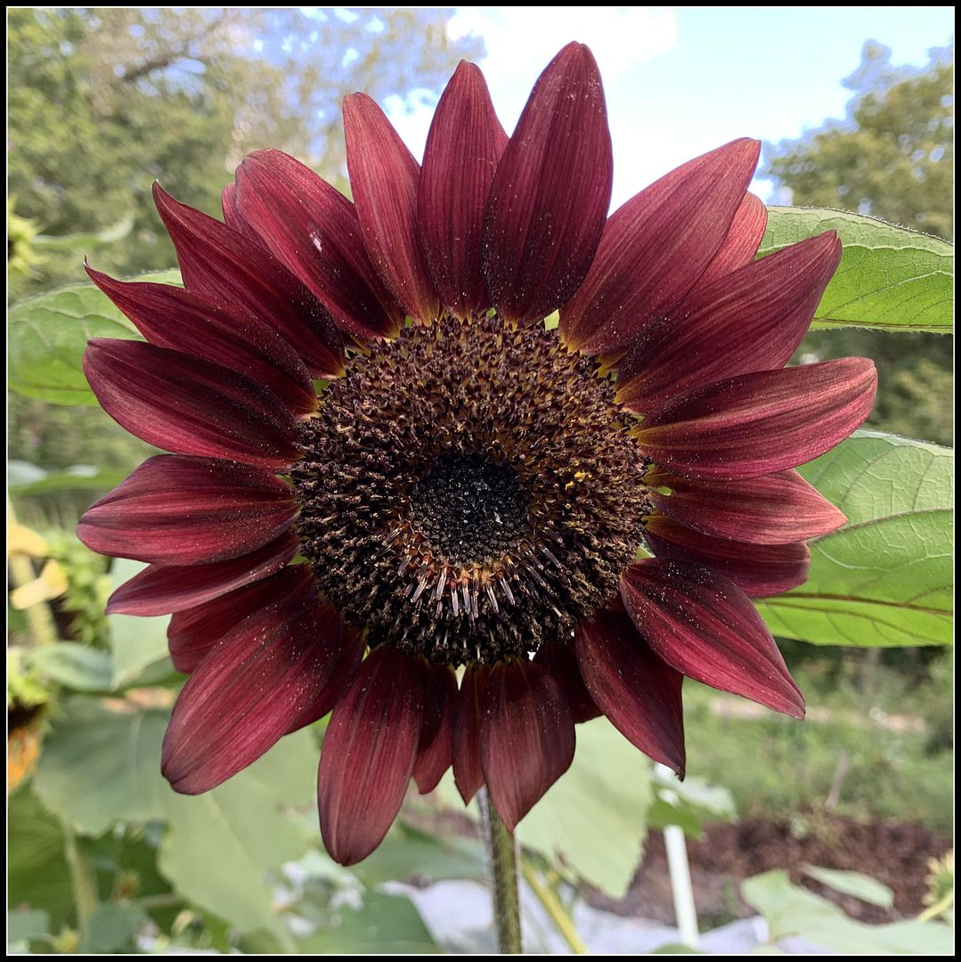 unnamed - 2025-09-02T002423.477