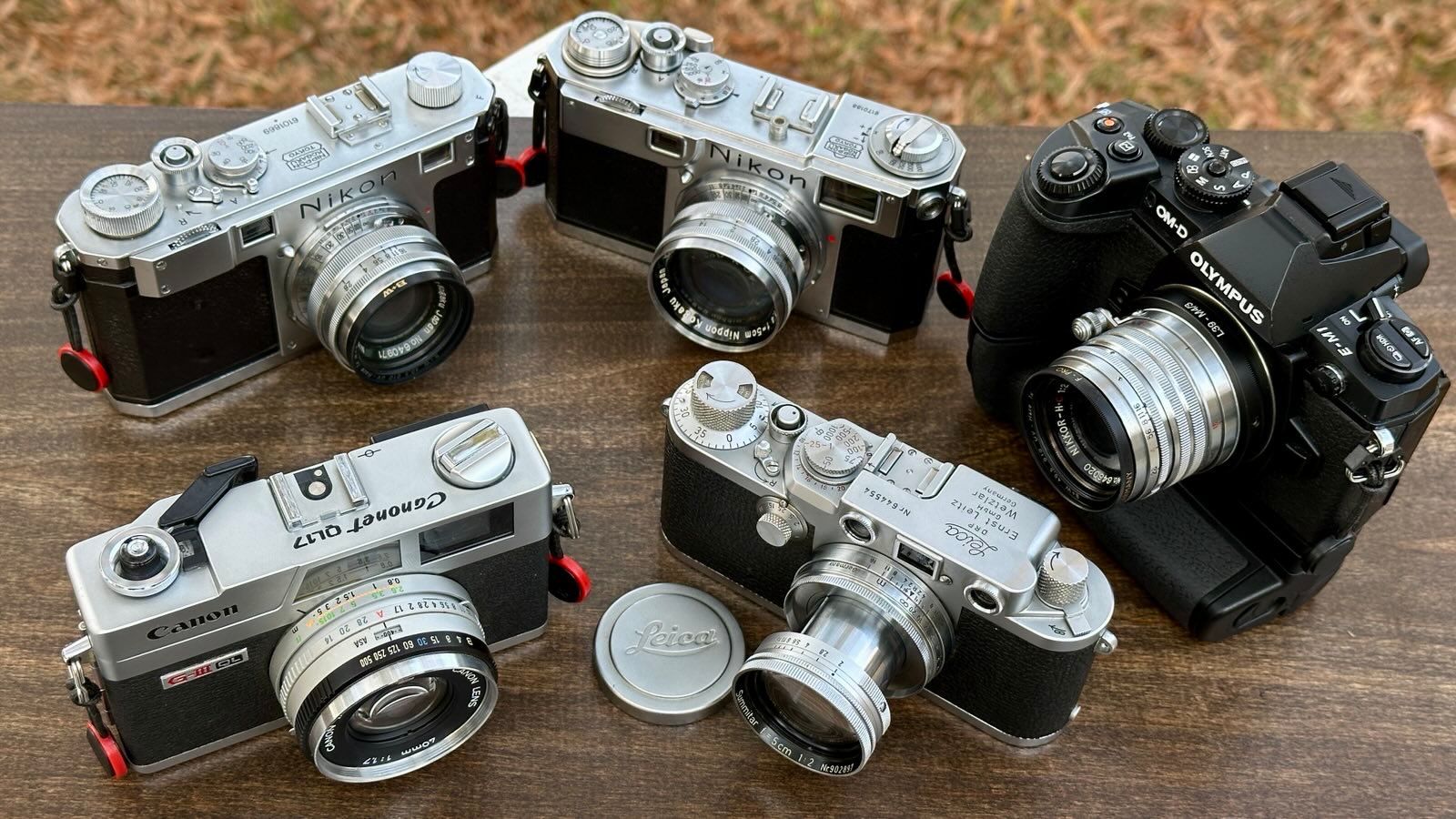 bb82541f-3cef-4ad7-9996-991fba087490.jpg