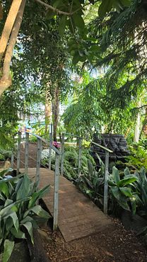 Brücke im Palmenhaus