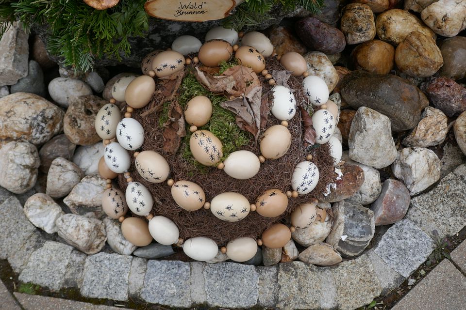 Ameisenhügel - Kleingesees