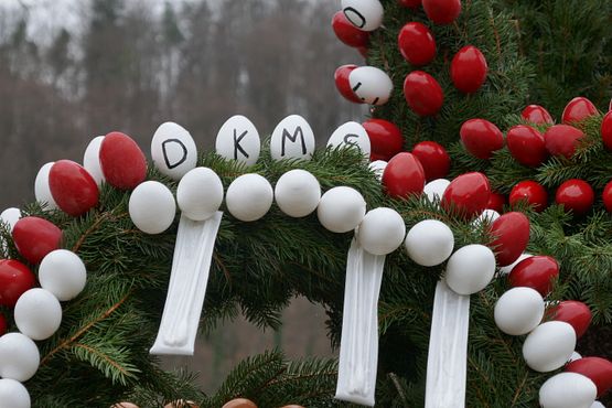 DKMS - Beringersmühle