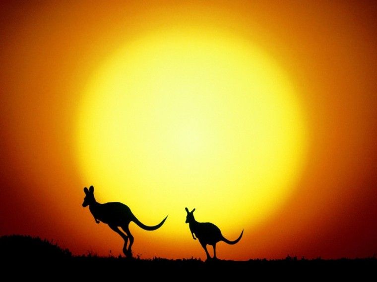 garoo_into_sunset