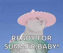 cats-summersolstice