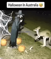 halloween-australia