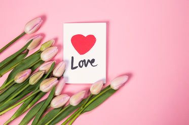tulip-flowers-with-love-card