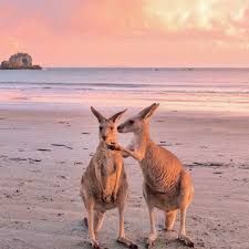 jolene and joey