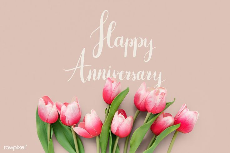 happy_ann_april
