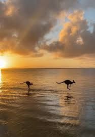 tide hopping