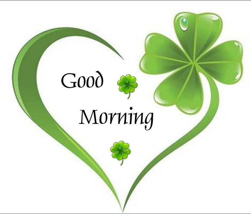 3230bfaf612ed81916129324fb4ed69b_zpszhybjzeo