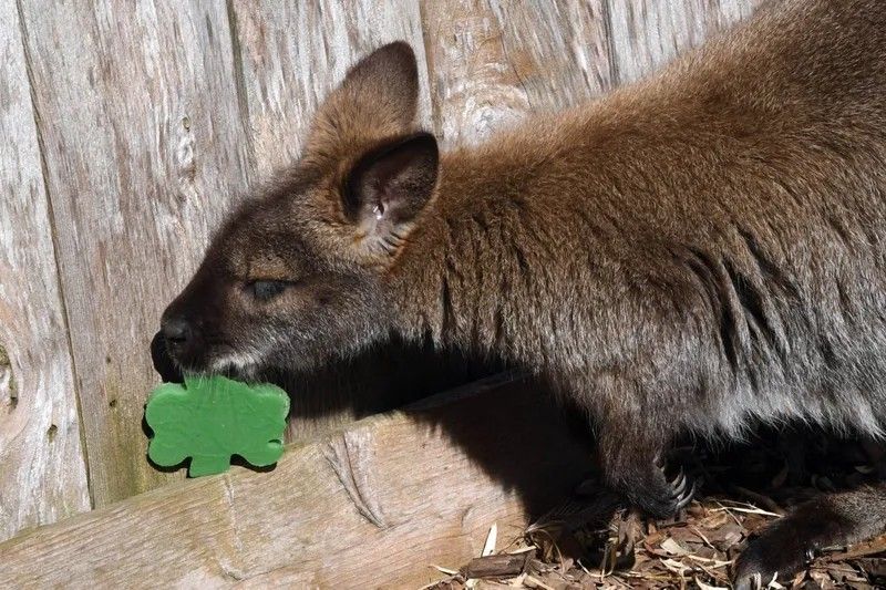 dsc-8587-b6aa320c-9ed7-4205-95bc-976184e06a00