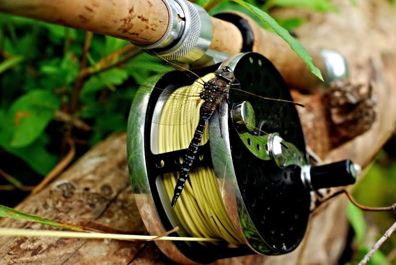 Cascapedia Fly Reel