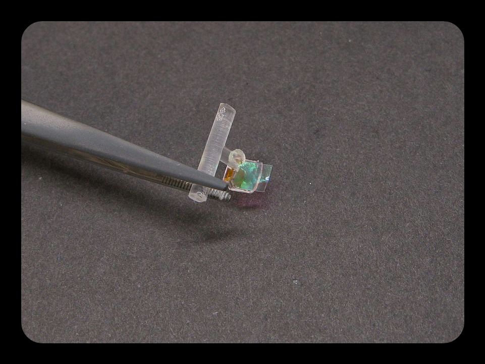 b0156880-3b1c-4ac3-bbd5-7a07053b16fe