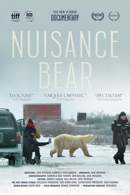 Nuisance Bear 2021