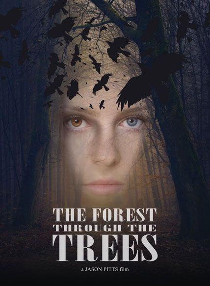 The Forest Through the Trees (2025)