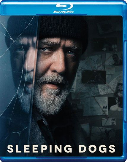 Sleeping Dogs 2024