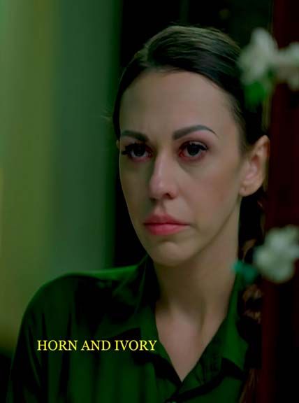 Horn And Ivory