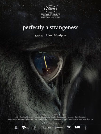 Perfectly a Strangeness 2024