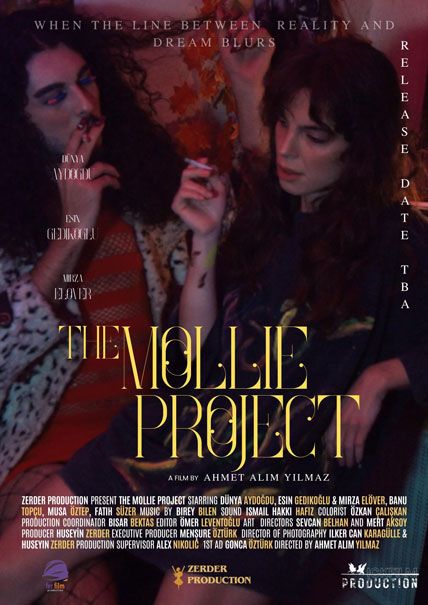 The Mollie Project 2025
