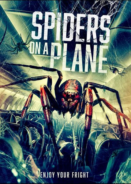 Spiders On A Plane 2024