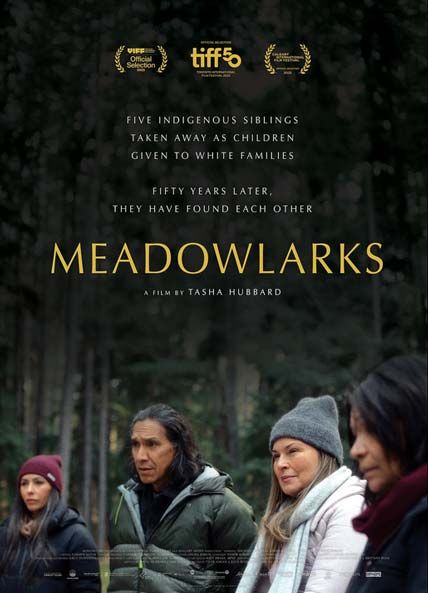 Meadowlarks