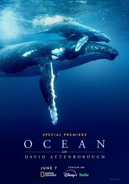 Ocean With David Attenborough