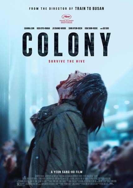 Colony