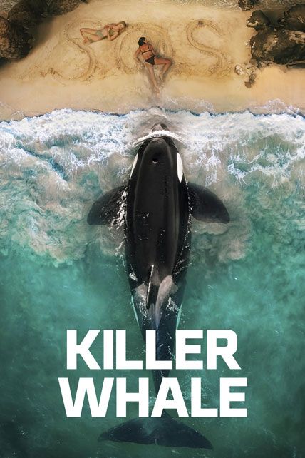 Killer Whale 2026