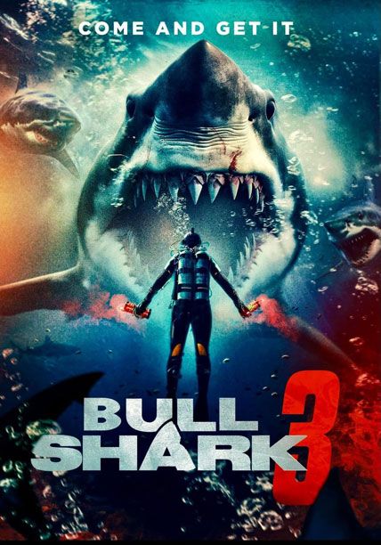 Bull Shark 3 2024