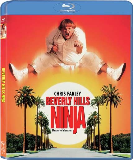 Beverly Hills Ninja