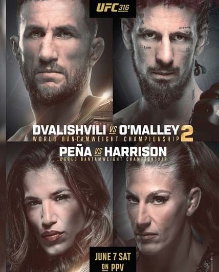 UFC 316