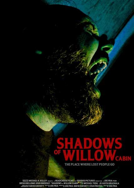 Shadows of Willow Cabin