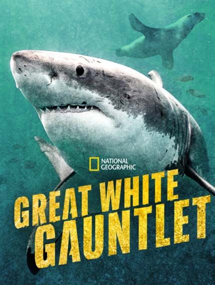 Great White Gauntlet