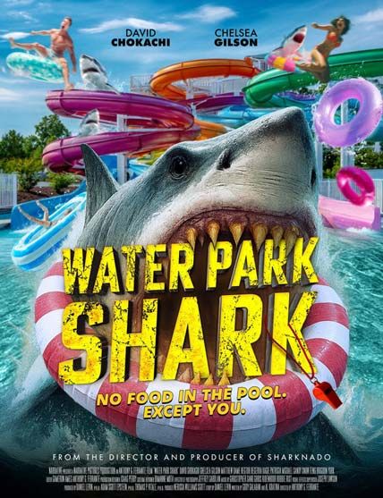 Water Park Shark