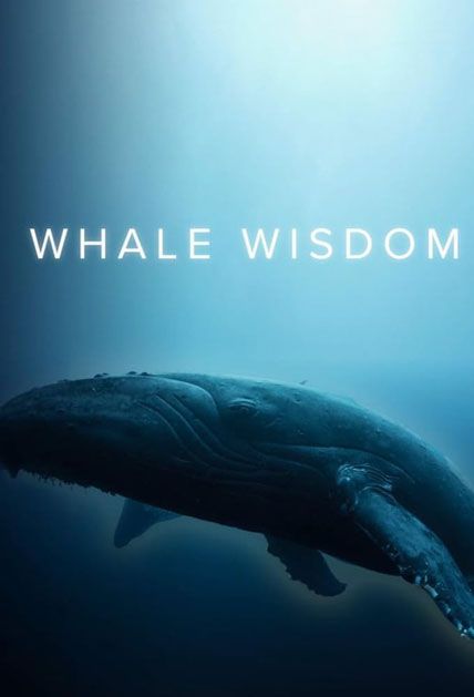 David Attenboroughs Whale Wisdom 2019