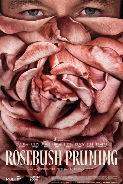 Rosebush Pruning