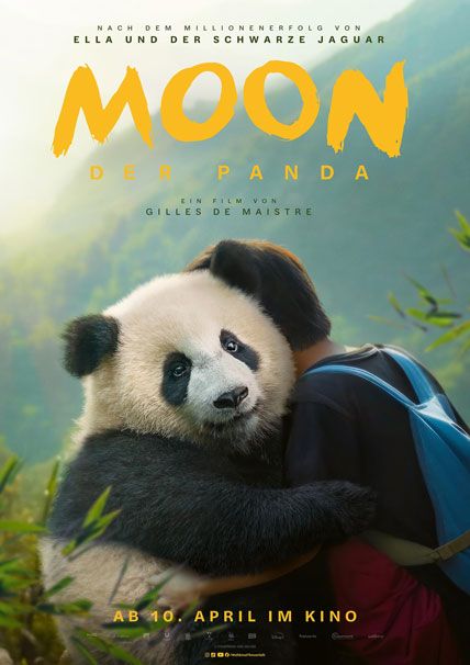 Moon Le Panda 2025