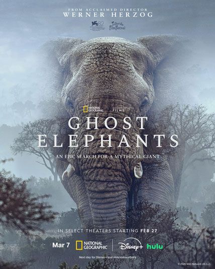 Ghost Elephants 2025
