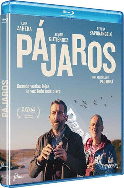 Birds Flying East 2024