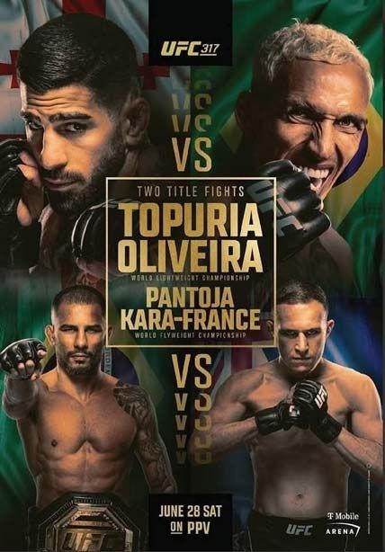 UFC 317