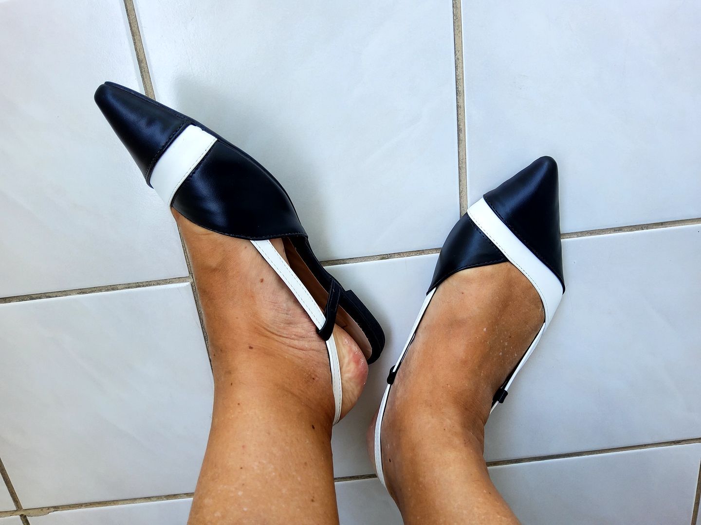 Новые остроносики, кулинарное и родичи 