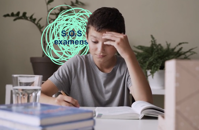 Gebruikerssessie Alinea Online 24/11/2025