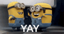 a6bcc928-d902-4591-aac9-d62be7c02dd2.gif