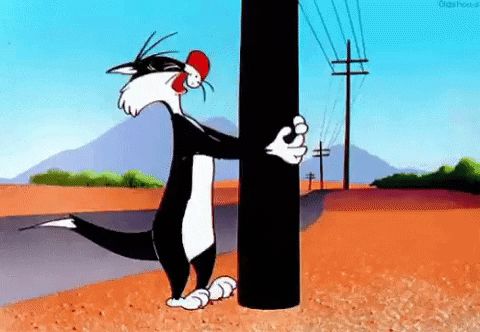 c413f076-8b35-4dfc-9be8-4f9d21892ea8.gif