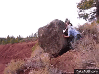 e773cb21-36c8-42e8-89a1-fbf26b79d79c.gif