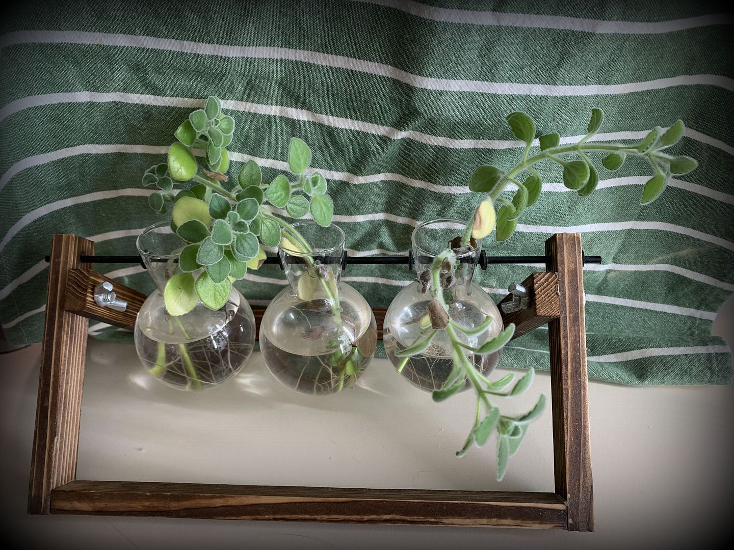 unnamed - 2026-01-20T231900.551