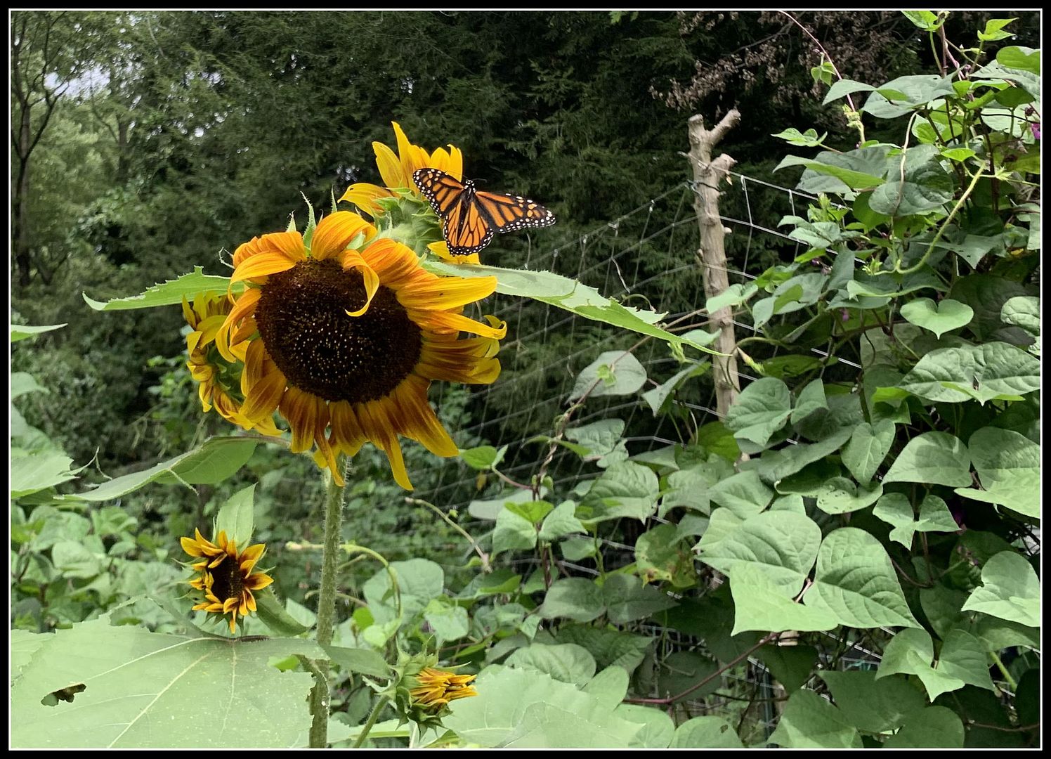 unnamed - 2025-08-23T142942.239