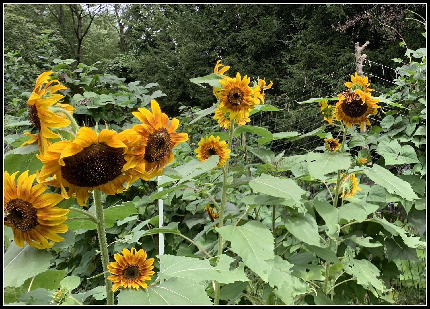 unnamed - 2025-08-23T143038.311