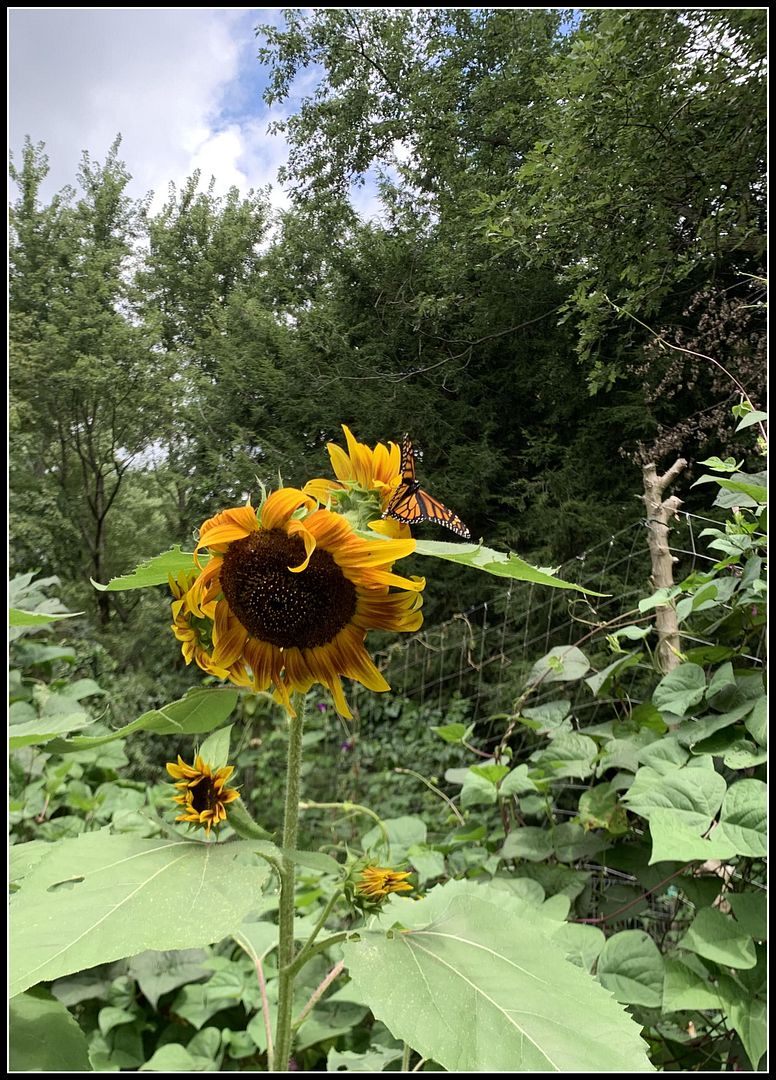 unnamed - 2025-08-23T142933.239