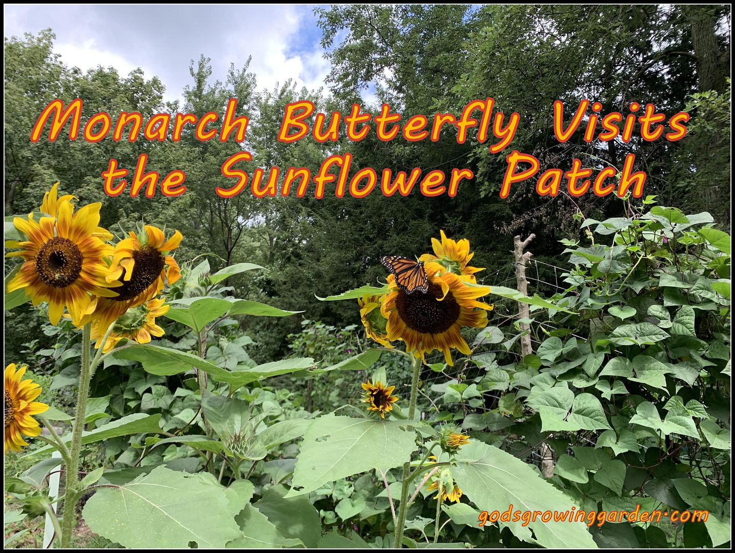 unnamed - 2025-08-23T142959.525