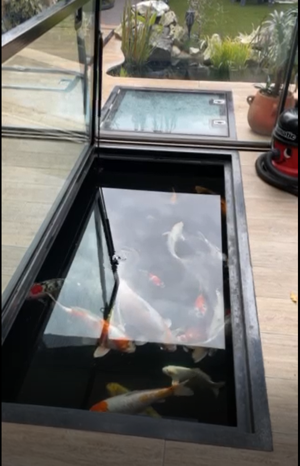 electric glass fish tank floor hatch